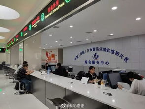 開放新格局 發展新畫卷